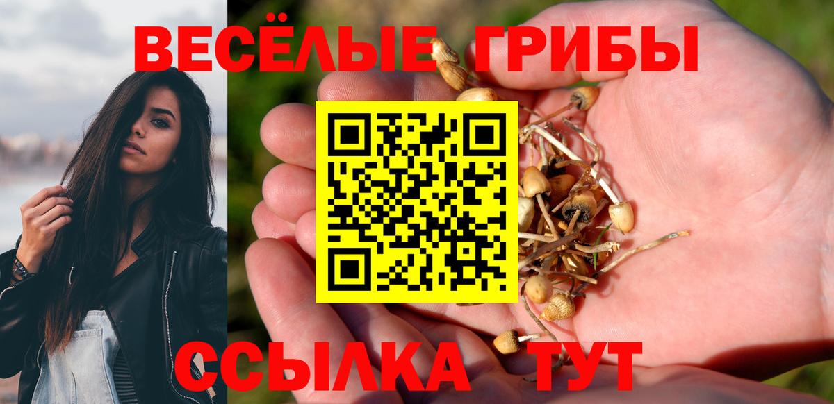 Псилоцибиновые грибы ЛСД Клинцы