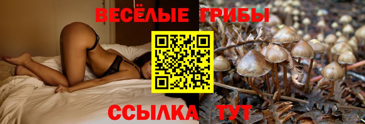 Псилоцибиновые грибы Cubensis  Псилоцибиновые грибы Magic Shrooms  Вход с VPN  Клинцы 